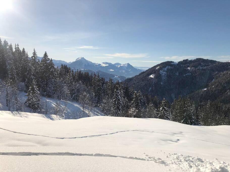 Saint-Jean-dʼAulps Appartement Cosy 3/4 Personnes A 5 Min Des Pistes. מראה חיצוני תמונה