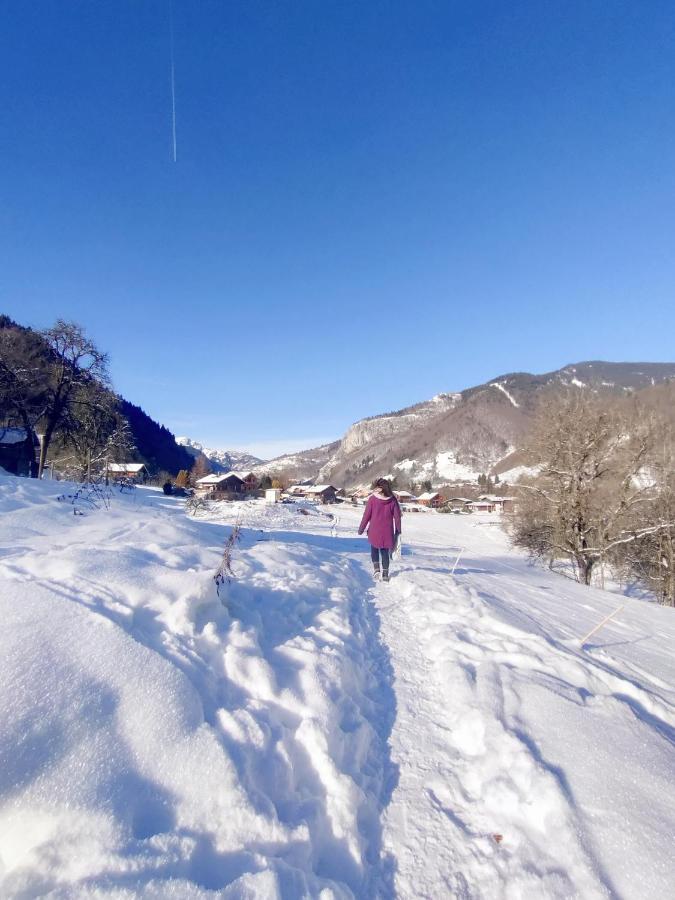 Saint-Jean-dʼAulps Appartement Cosy 3/4 Personnes A 5 Min Des Pistes. מראה חיצוני תמונה